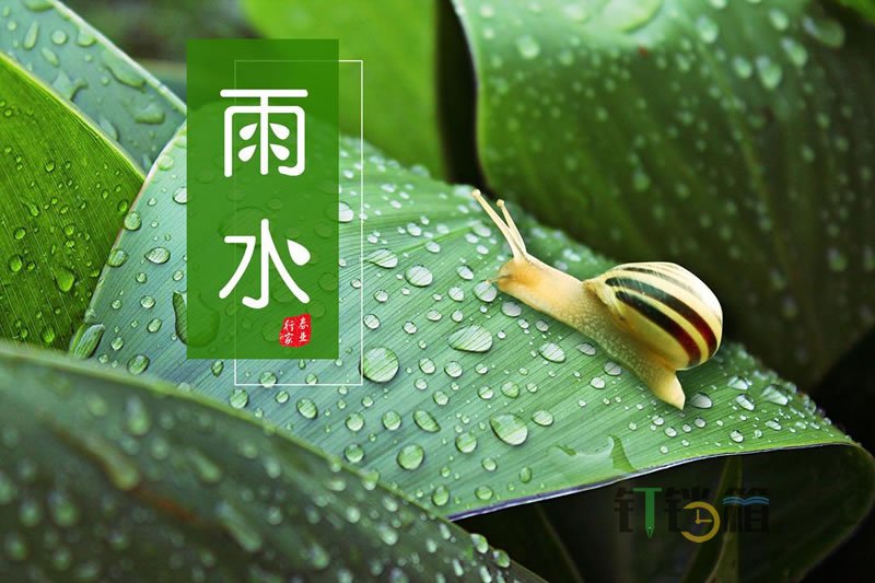 雨水