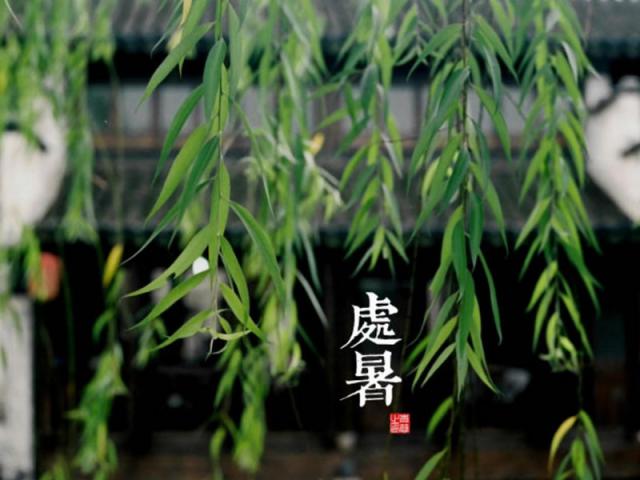 處暑（8月22日-8月24日）二十四節氣之第14節氣