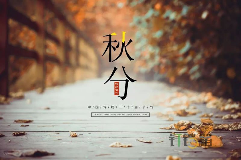 秋分2