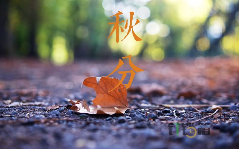 秋分