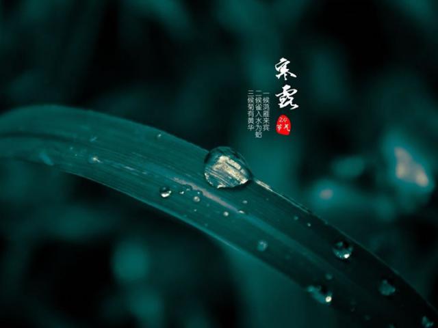 寒露（10月7日-10月9日）二十四節氣之第17節氣