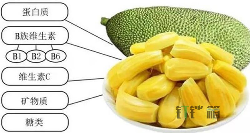 菠蘿蜜的功效與作用及禁忌1