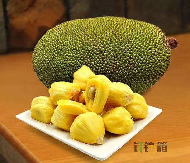 菠蘿蜜的功效與作用及禁忌2