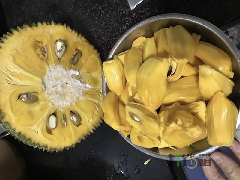 菠蘿蜜的正確剝法，既簡單也不粘手