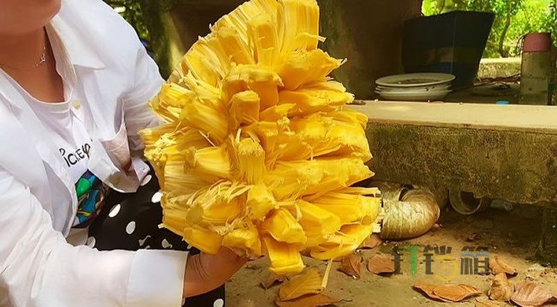 菠蘿蜜的正確剝法，既簡單也不粘手5
