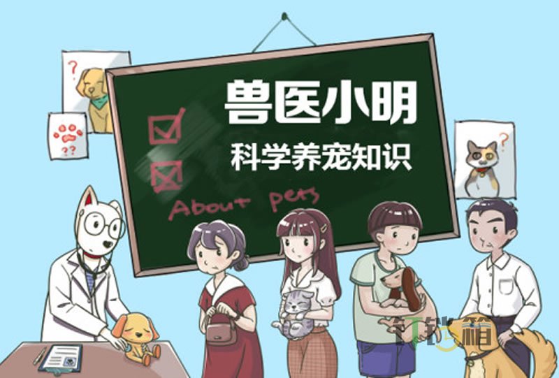 呆萌的法斗犬為什么養的人不多？